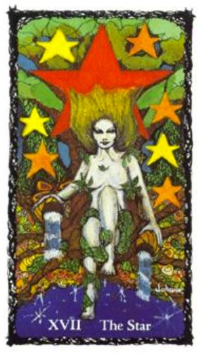 Sacred Rose Tarot